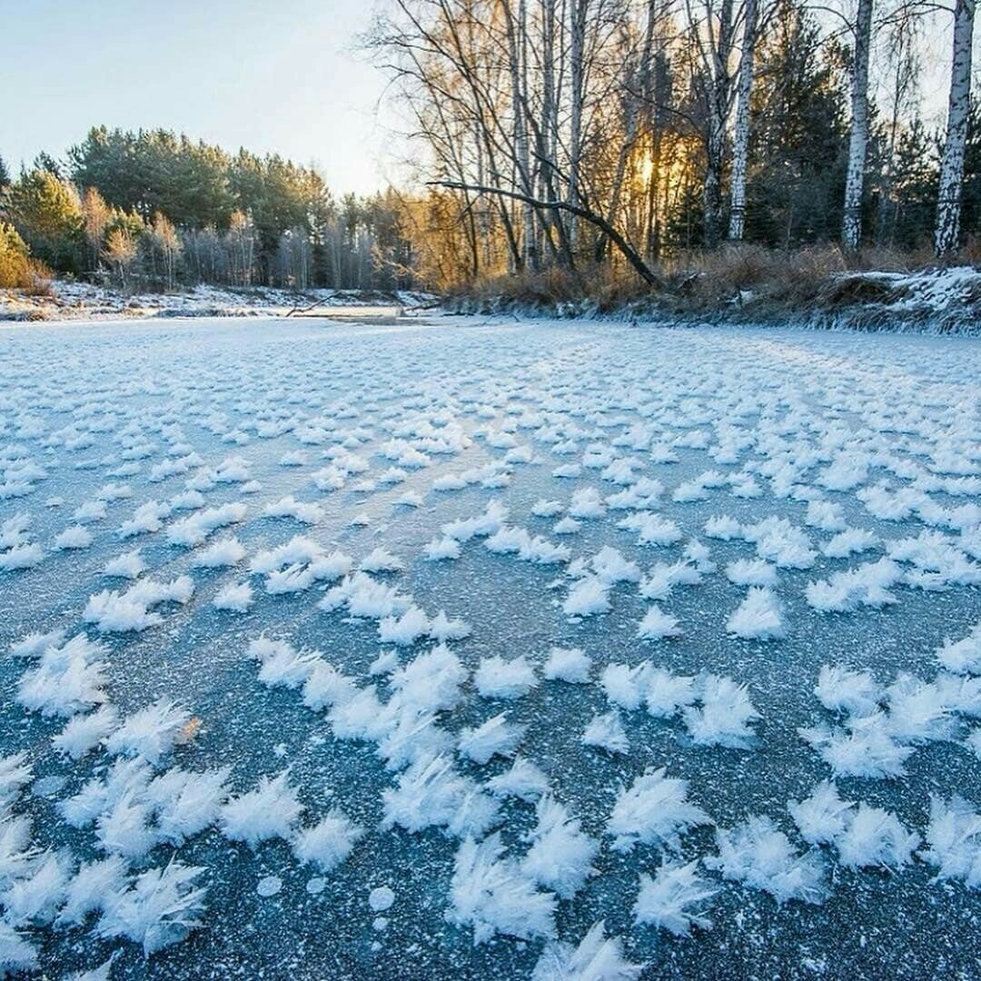Замерзают ли озера. Раифское озеро ледяные цветы. Озеро Раифского монастыря замерзло. Раифский монастырь в Казани озеро замерзшее. Снежные цветы на реке.