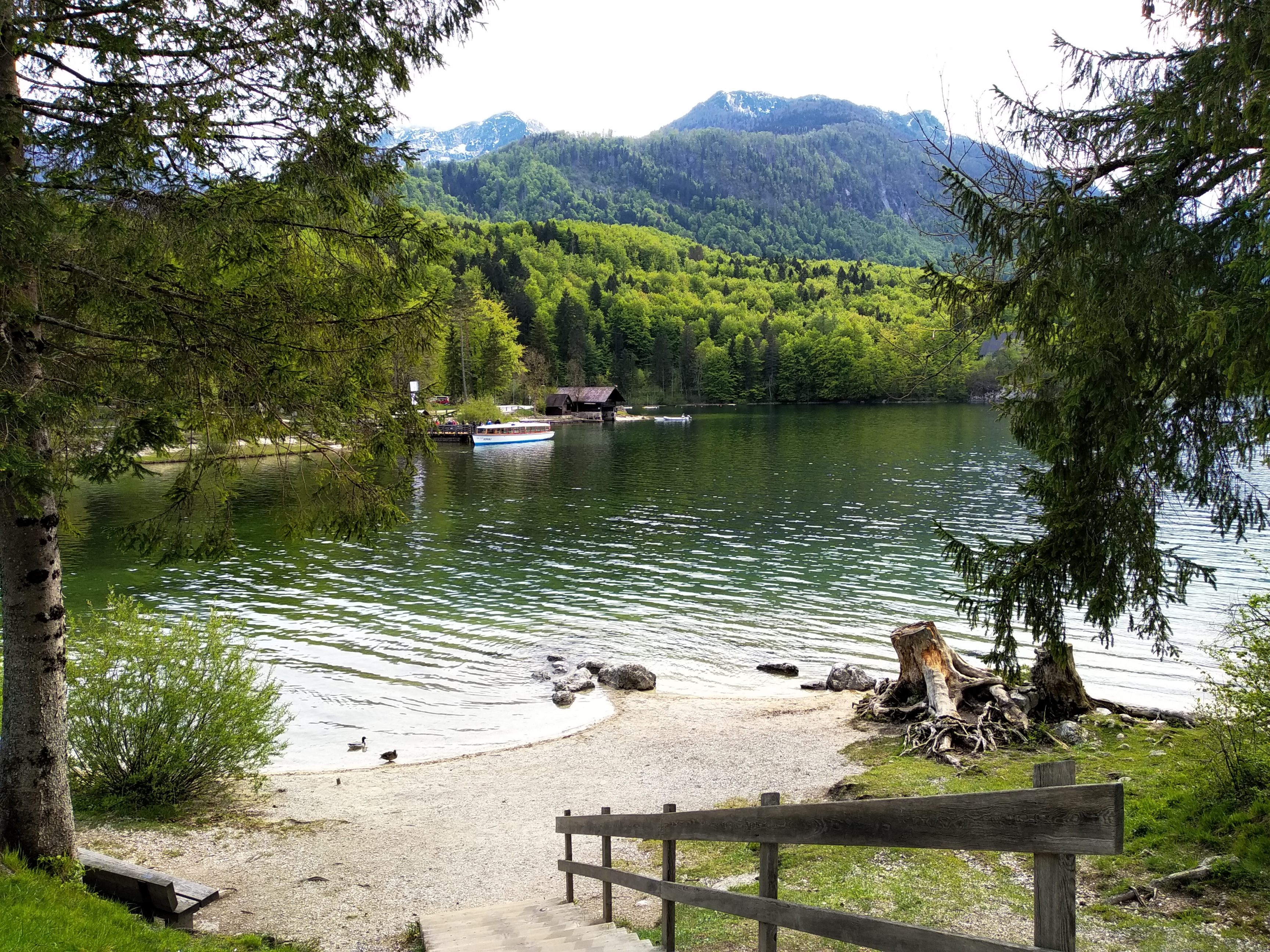озеро бохинь словения