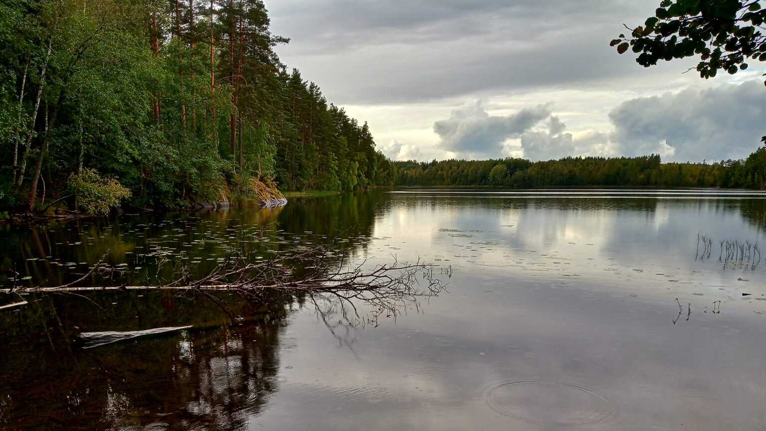 Озеро в лесу в Черноголовке