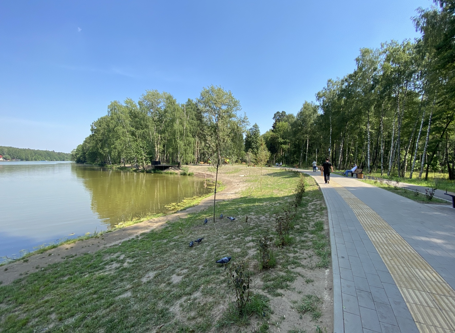 Парк Малаховское озеро