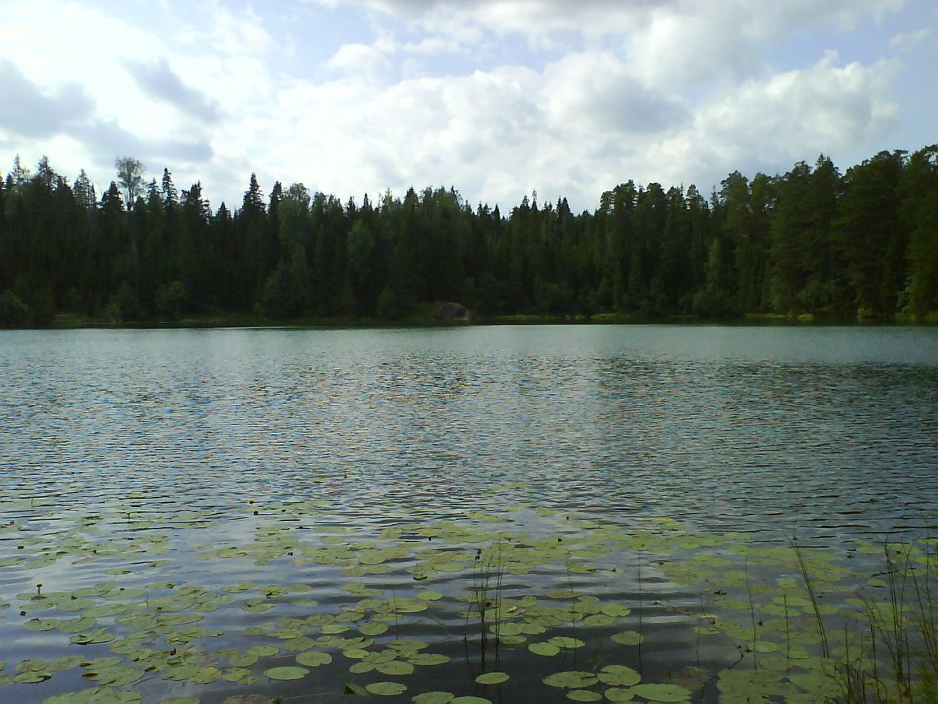Озеро бездонное Всеволожск