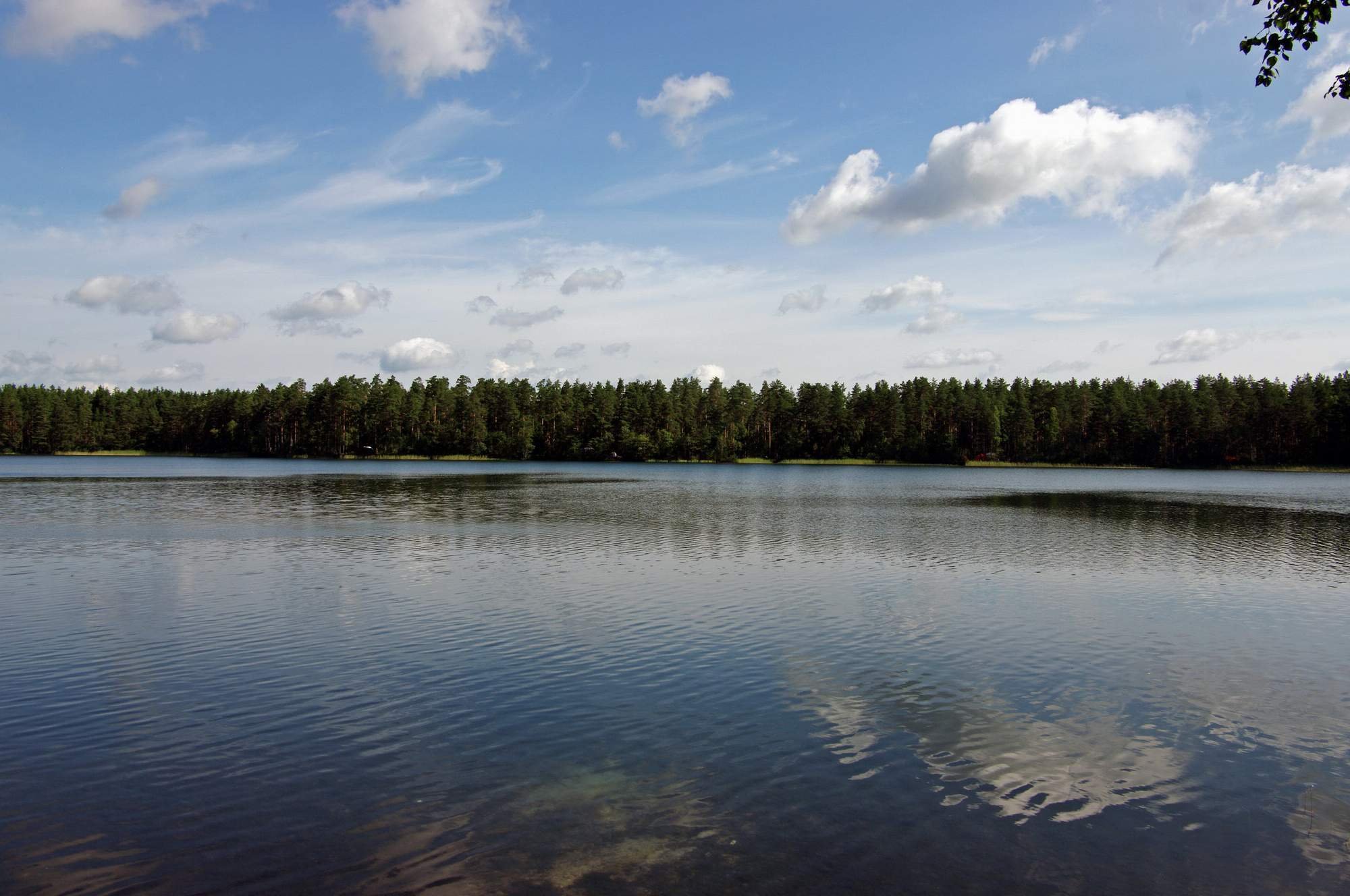 Озеро блесна Выборгский район