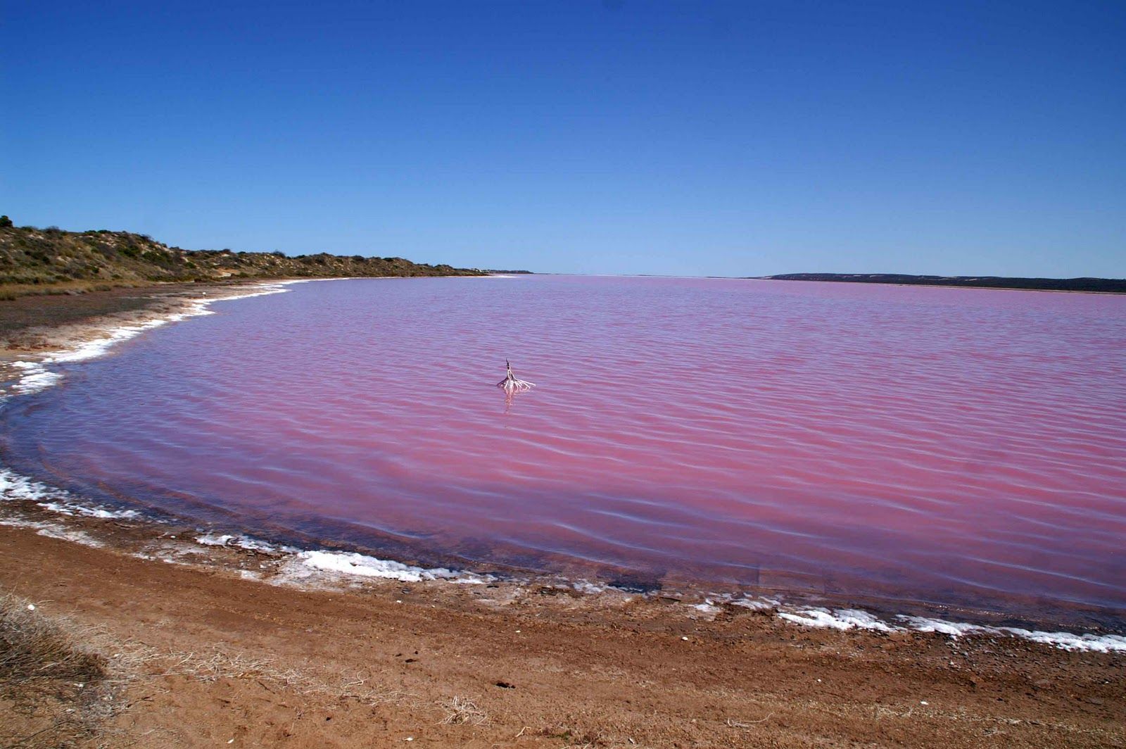 Розовое озеро Керчь