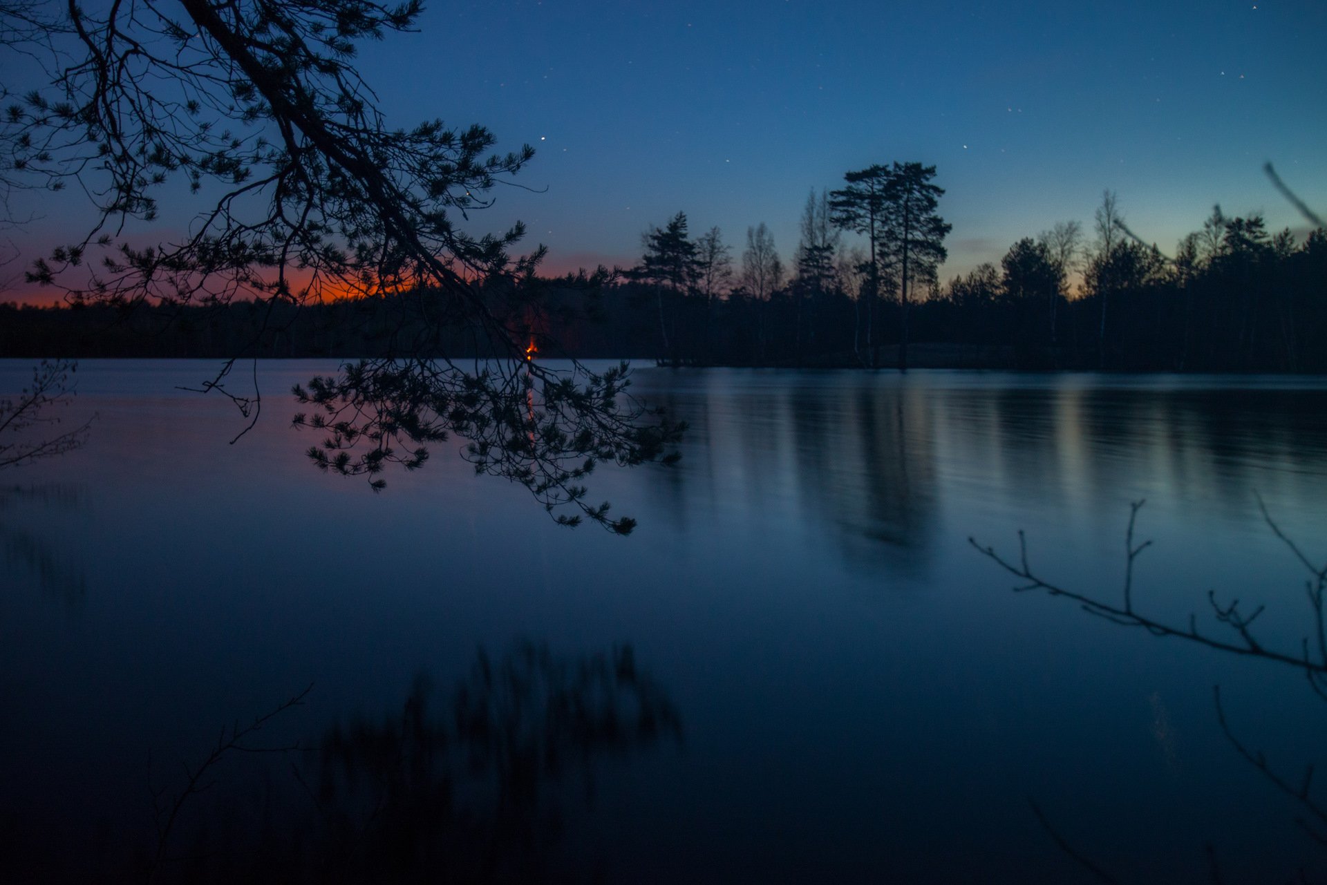 Озеро в лесу ночью