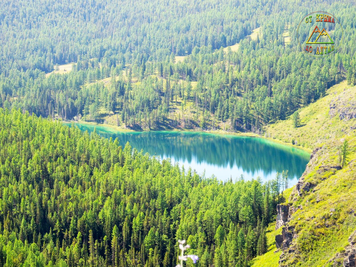 Чейбеккёль горный Алтай озеро фото
