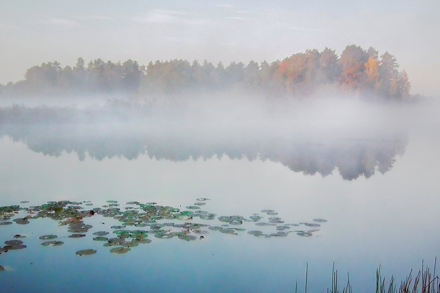 Озеро данилово в омской области