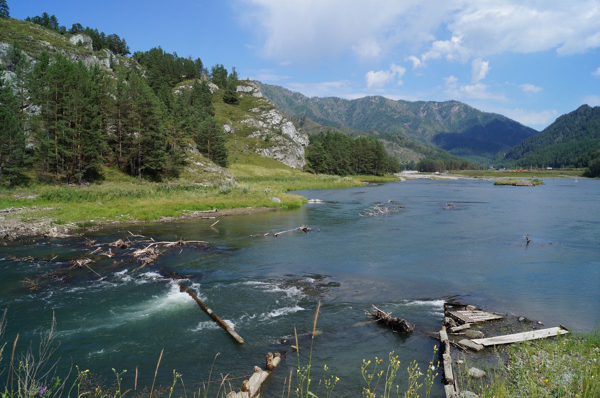 Река Чемал горный Алтай