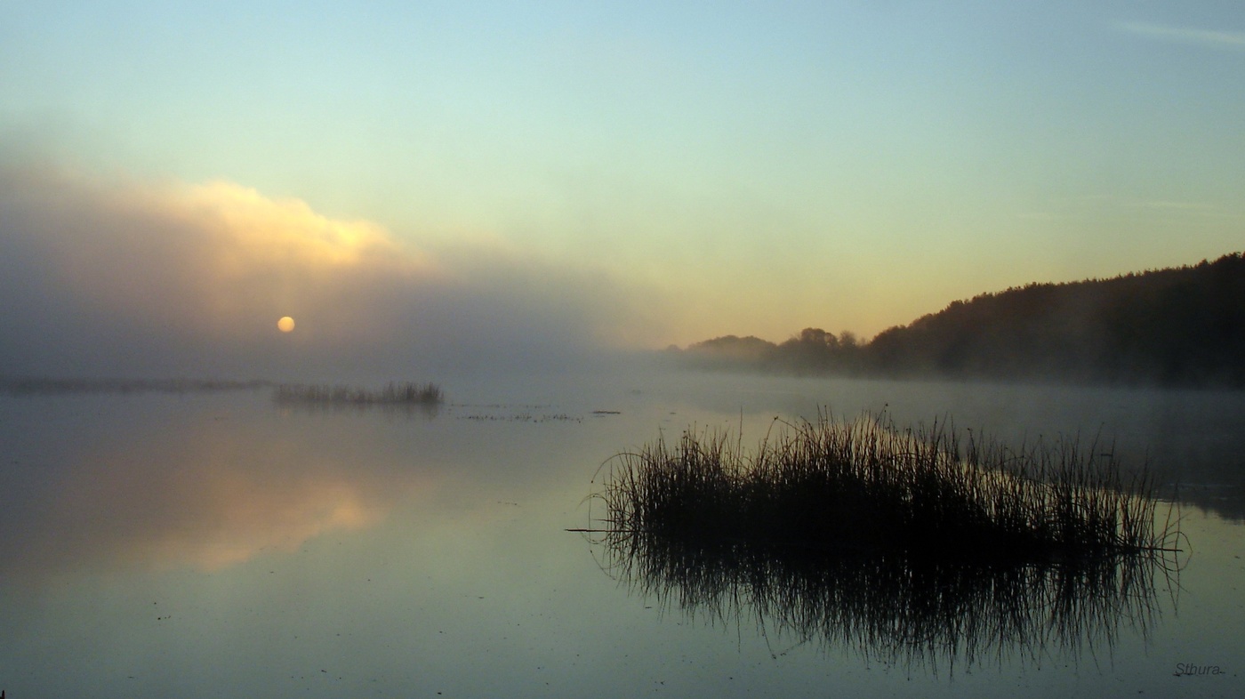 Озеро данилово область. Озеро Леушинский туман. Озеро Исток Белоомут. Линево озеро Курск. Данилово озеро.