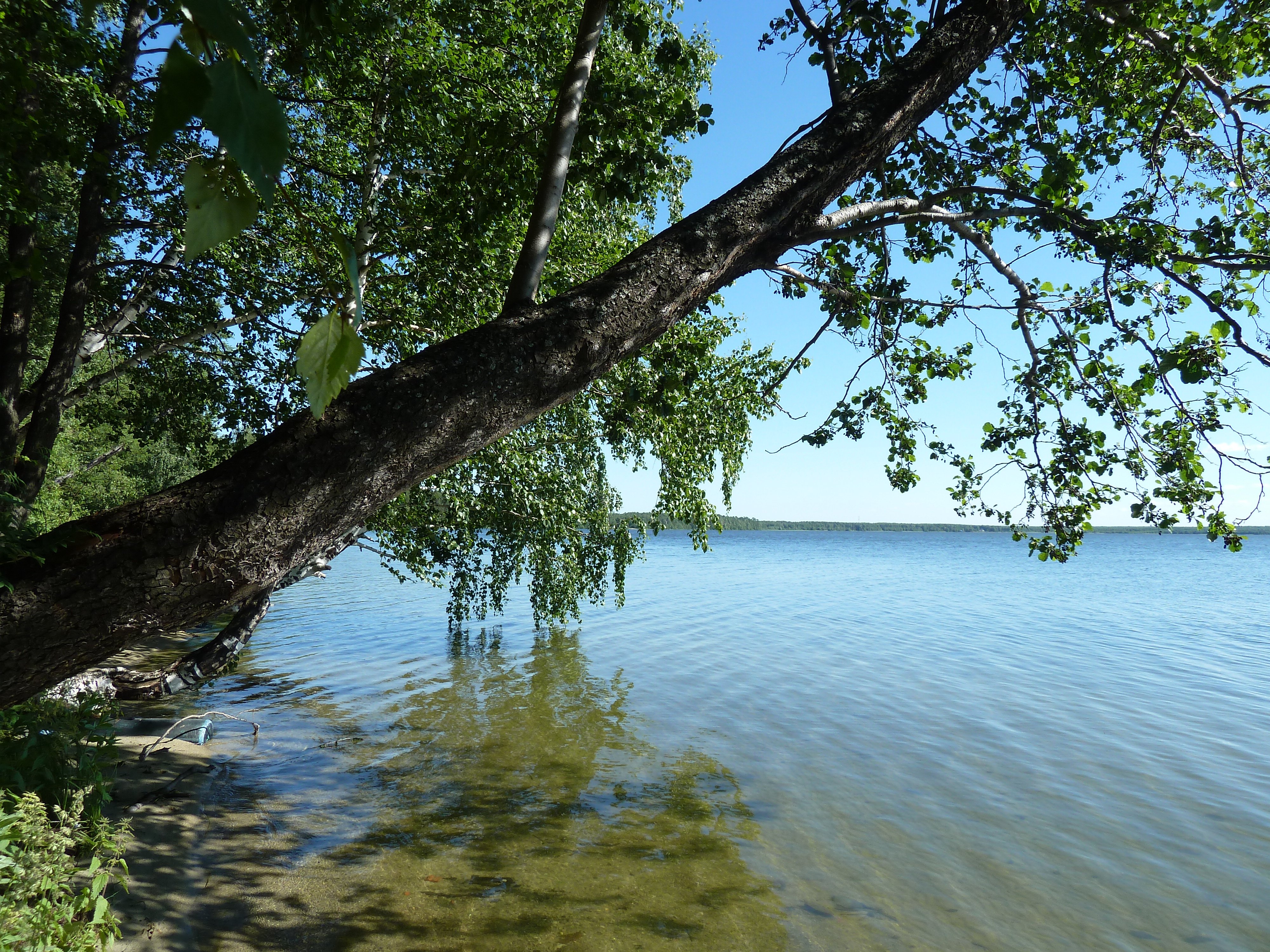 Балтым (озеро) озёра Свердловской области
