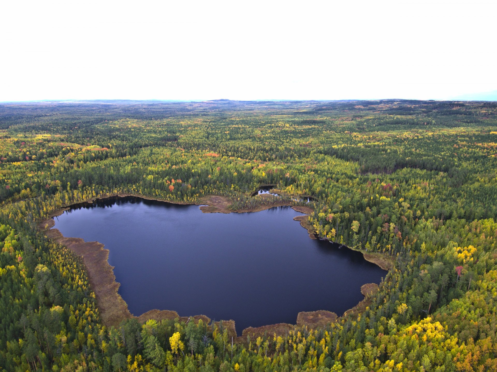 Как называются озеры. Пять озёр Омская область. Озеро Линево Омская область. Пять озёр Омская область Линево. Озёра Омской области 5 озёр.