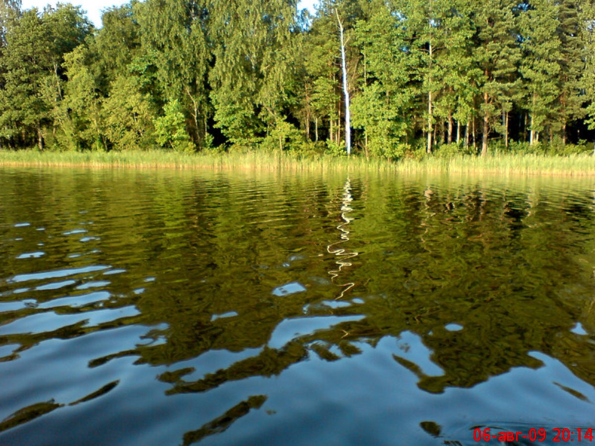 Озеро Чистик Смоленская область