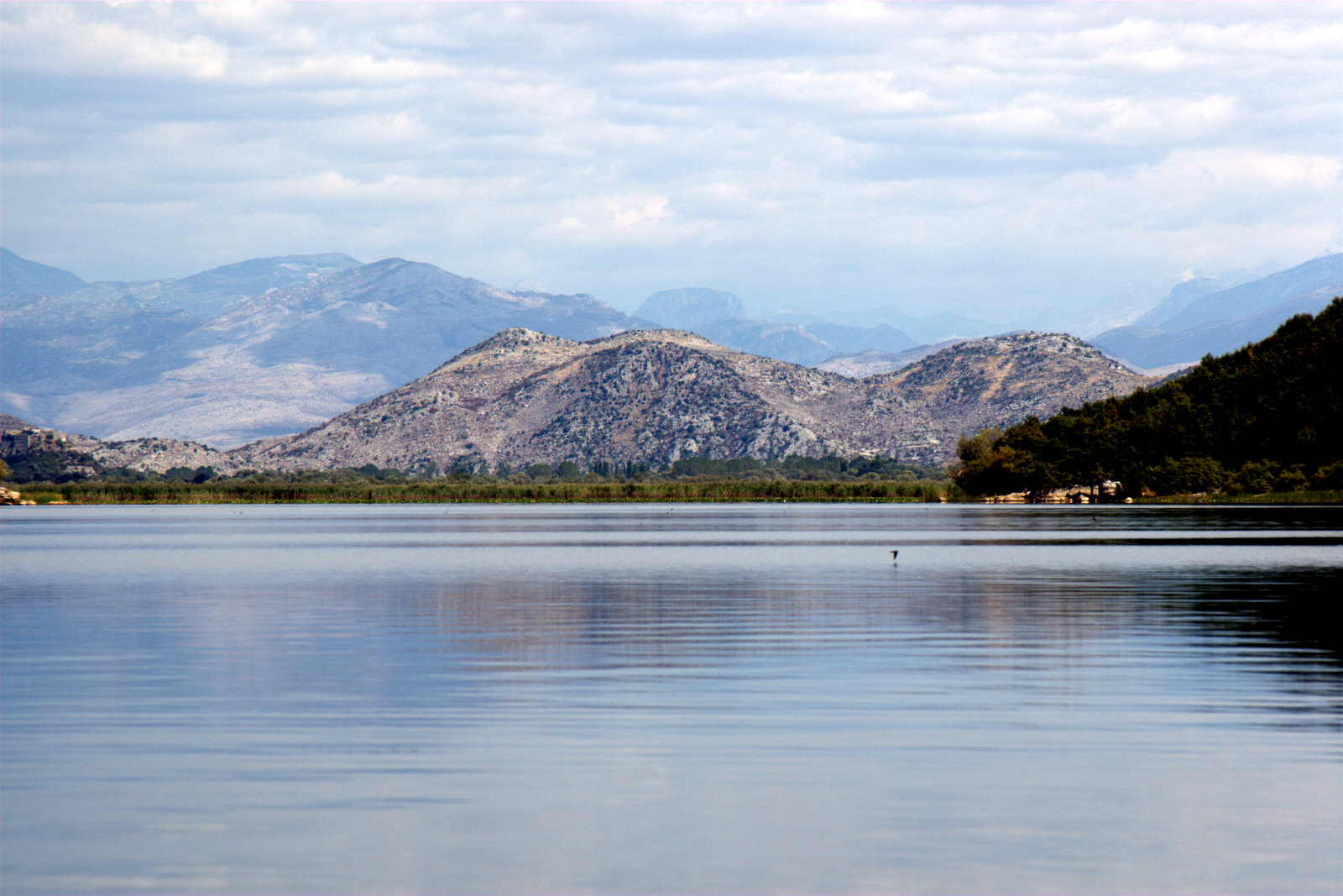 Озеро Шкодер Черногория