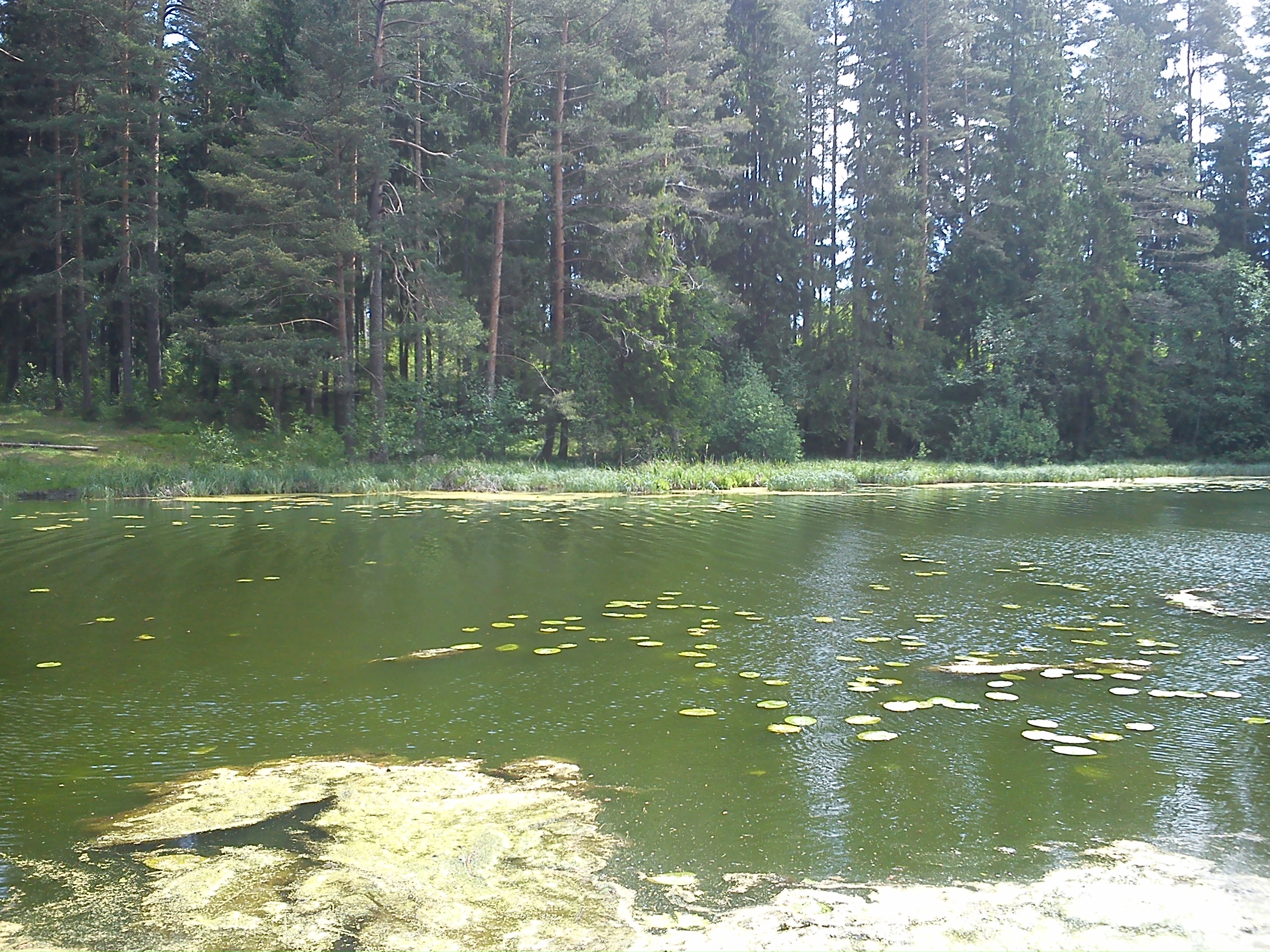 Лужские озера