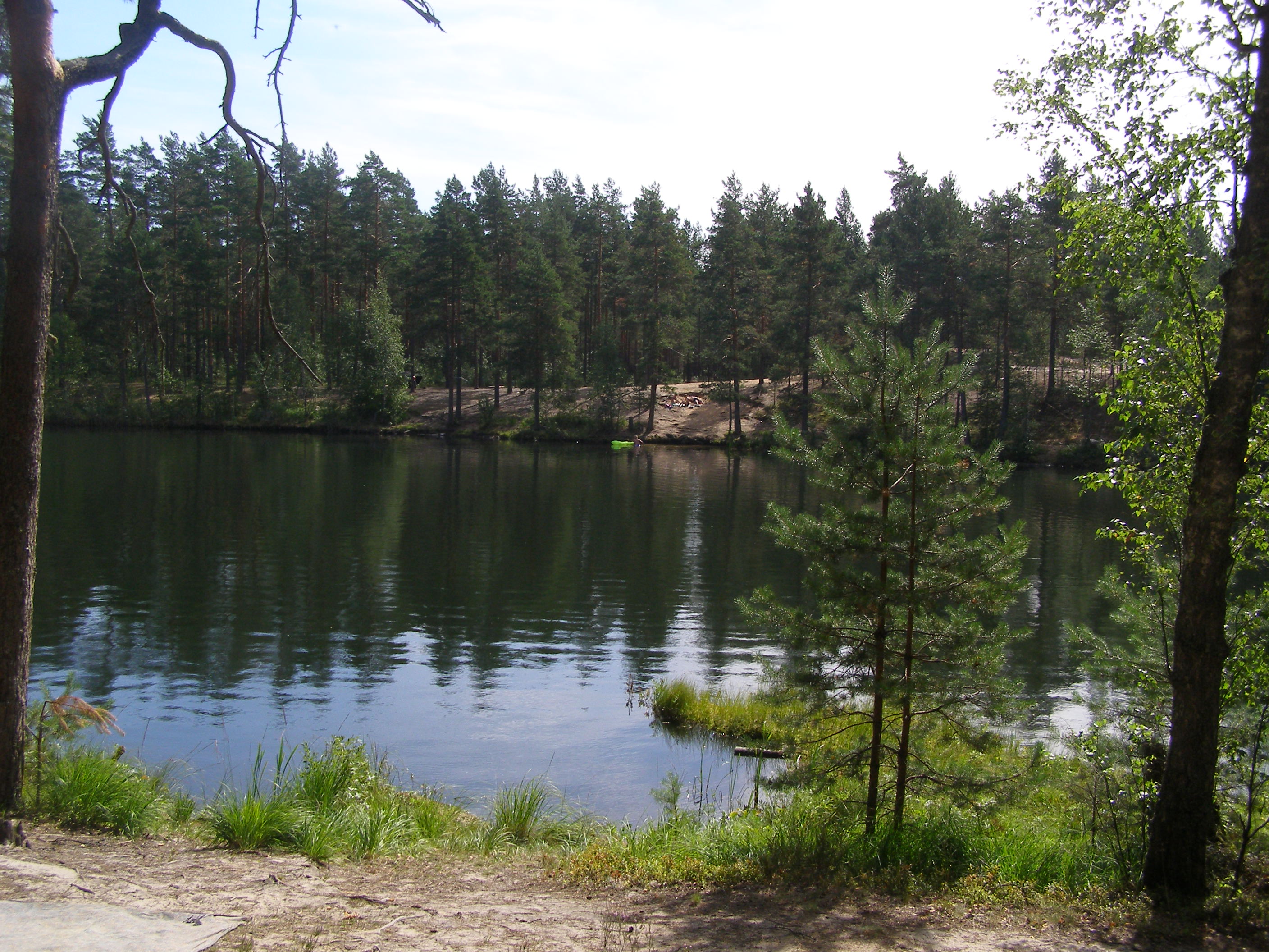 Шалово зеленое озеро Лужский
