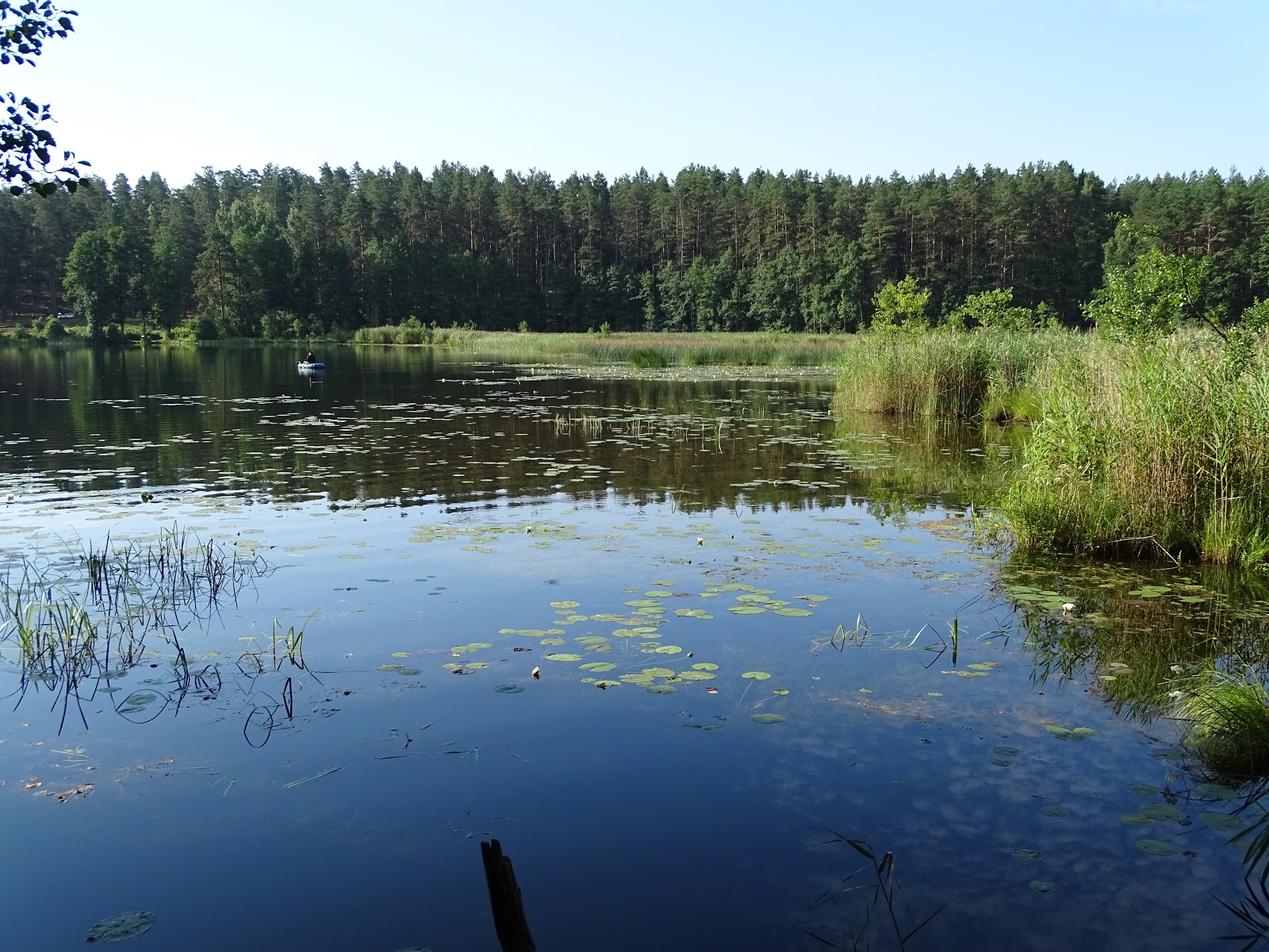 Озеро Омчино Лужский