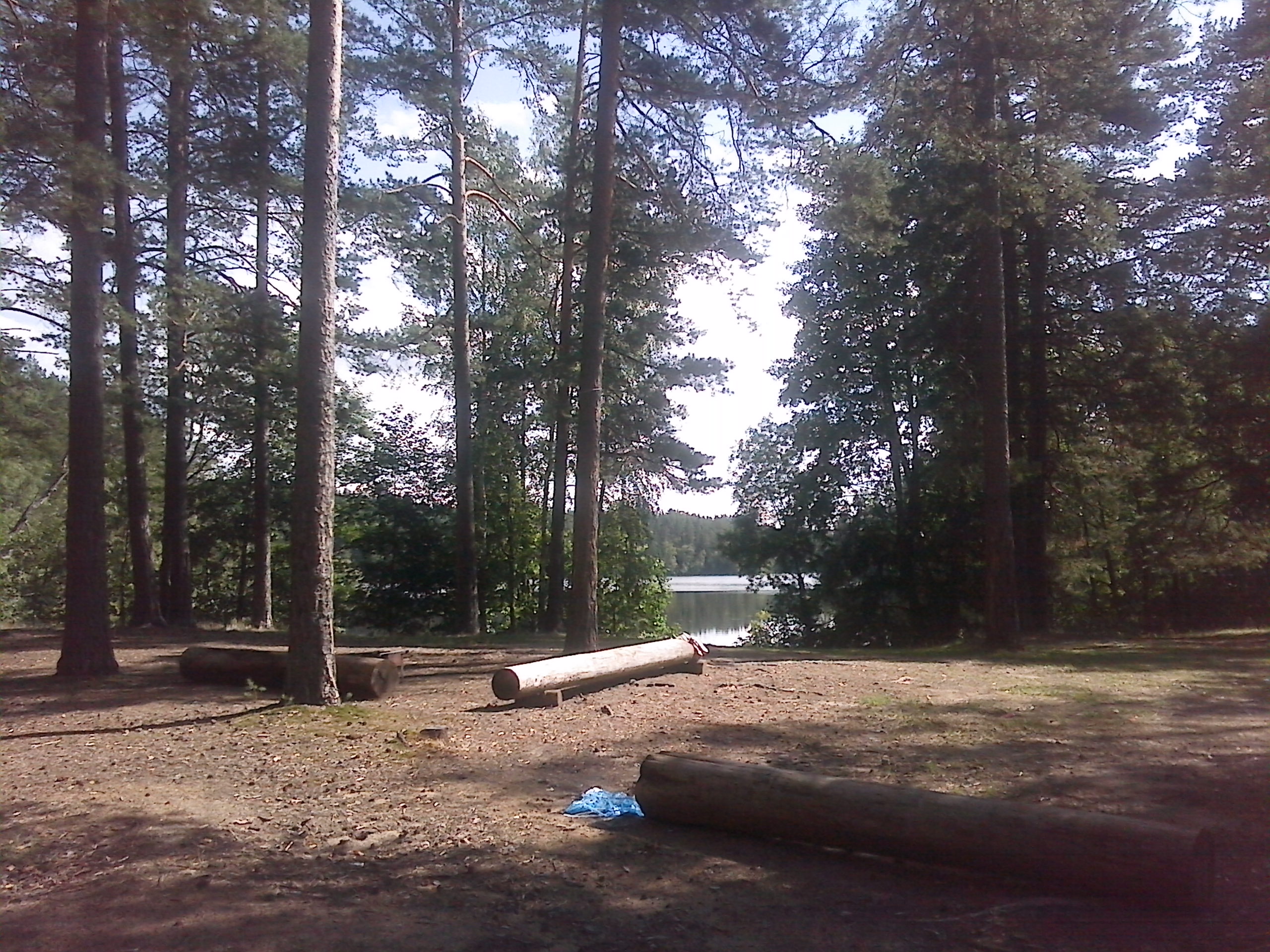 Большое Луговое озеро Ленинградская область