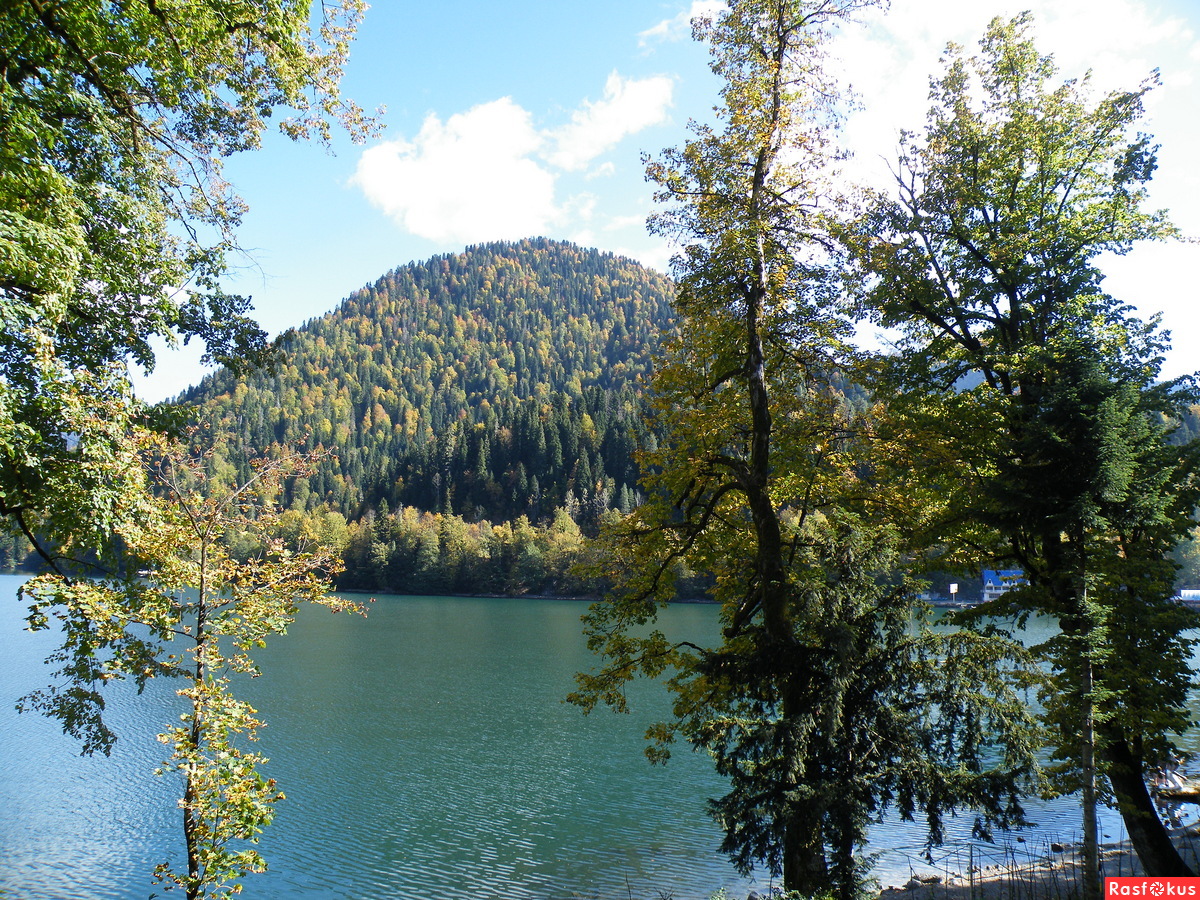 Озеро Рица деревья в воде
