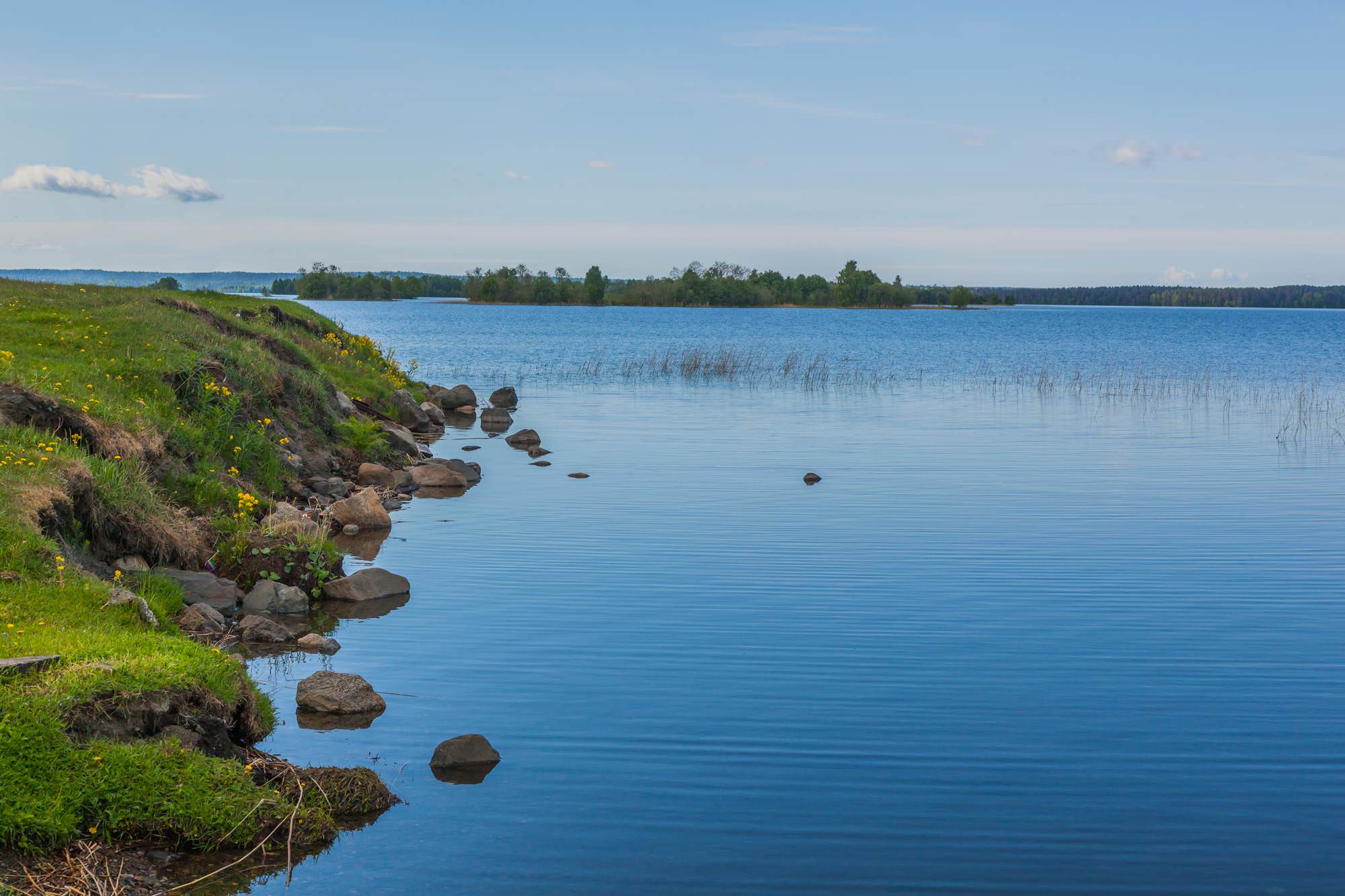 Есть онежское озеро. Вознесенье Онежское озеро. Онежское озеро Ленинградская область. Щелейки Онежское озеро. Онега озеро.