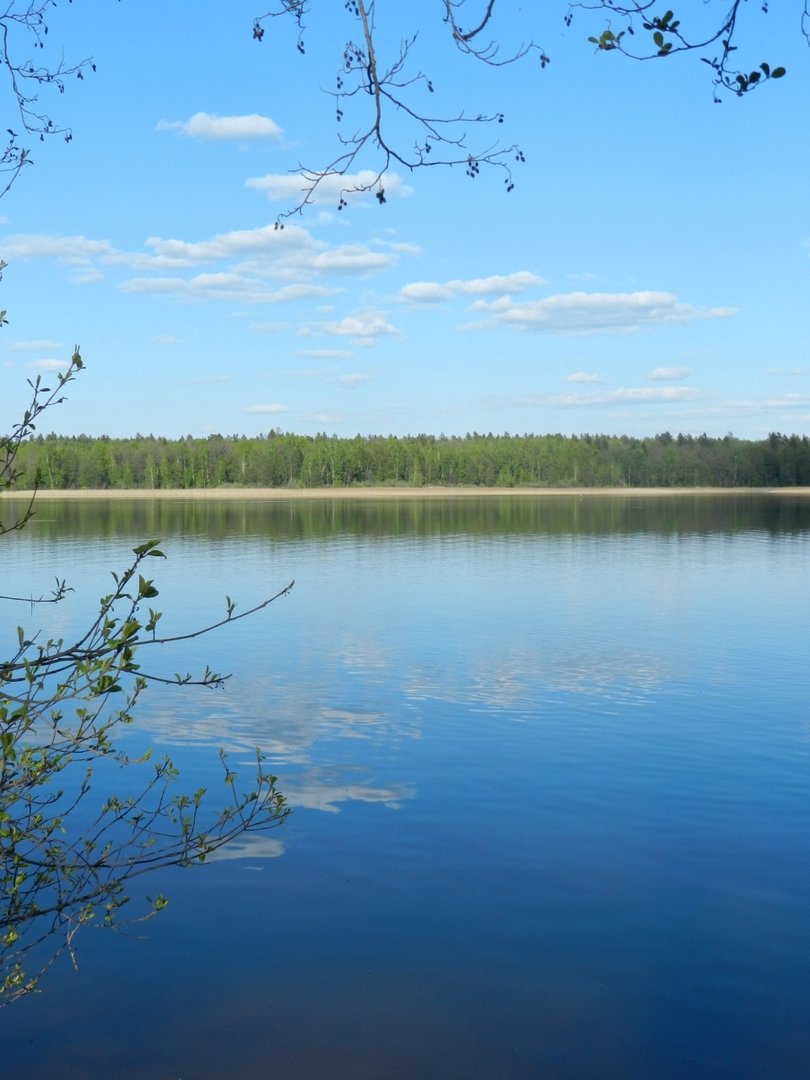 Озеро Ломпадь Калужская область