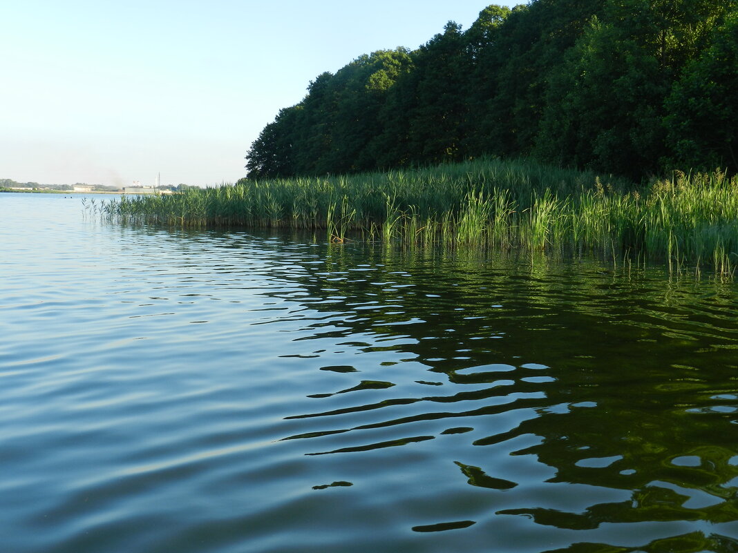 озеро в людиново калужской области