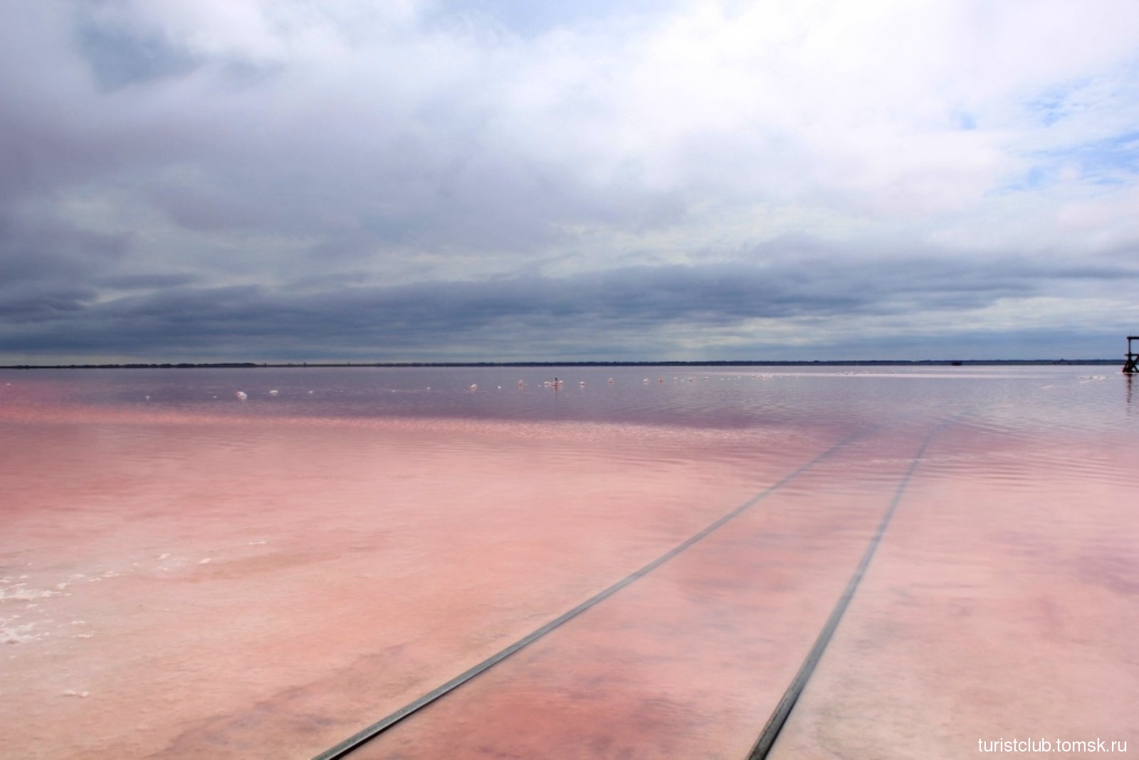 Бурсоль розовое озеро Яровое