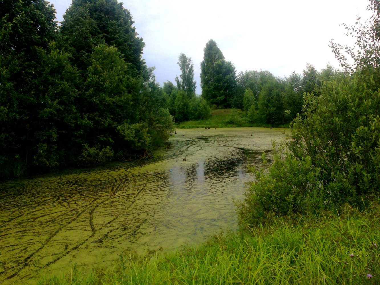 Озеро молевое марий эл