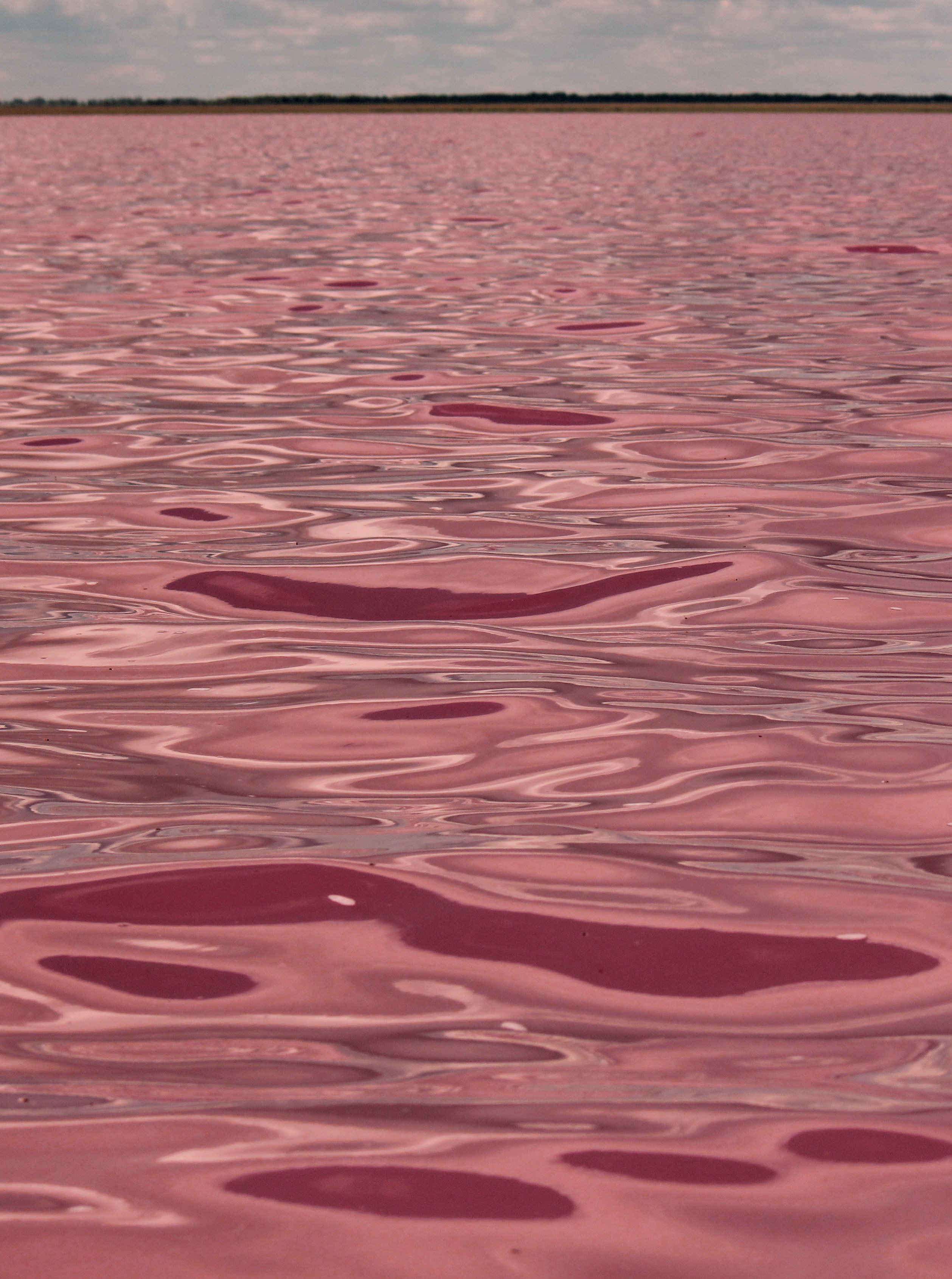 Розовое озеро Бурлинское Алтайский край