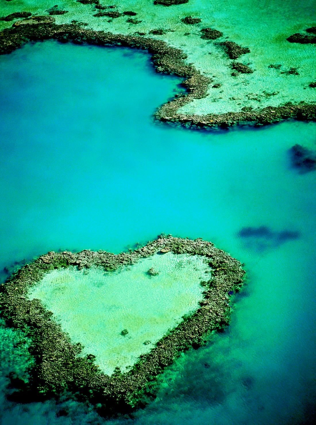 Риф в форме сердца, большой Барьерный риф в Австралии