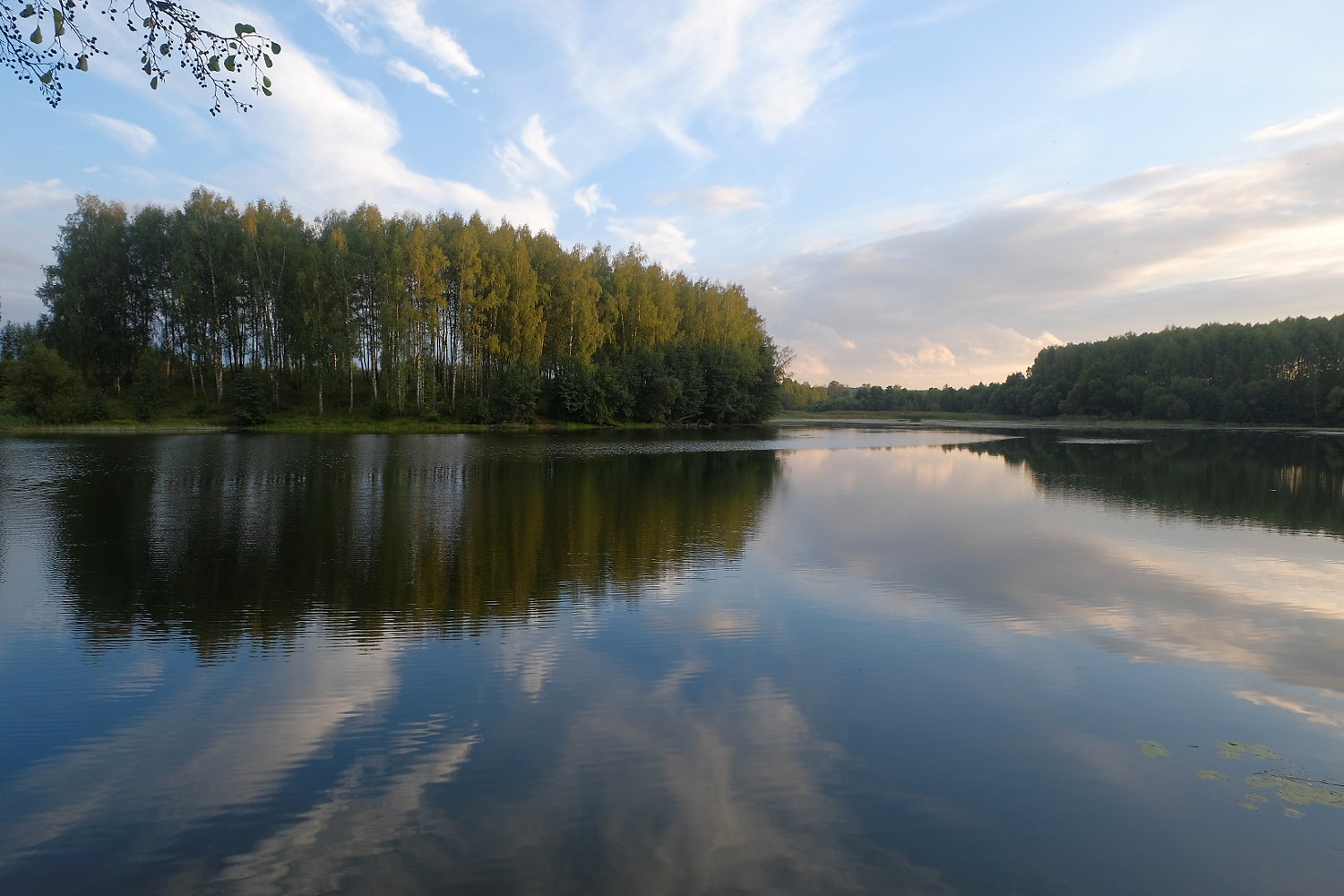 озеро чистик смоленская область