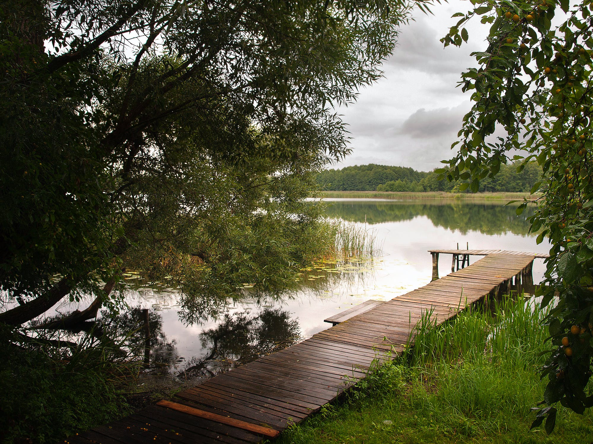 Смоленск деревянный Пирс на озере