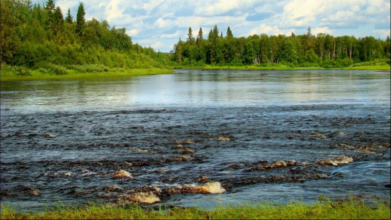 Река Варзуга Мурманская область