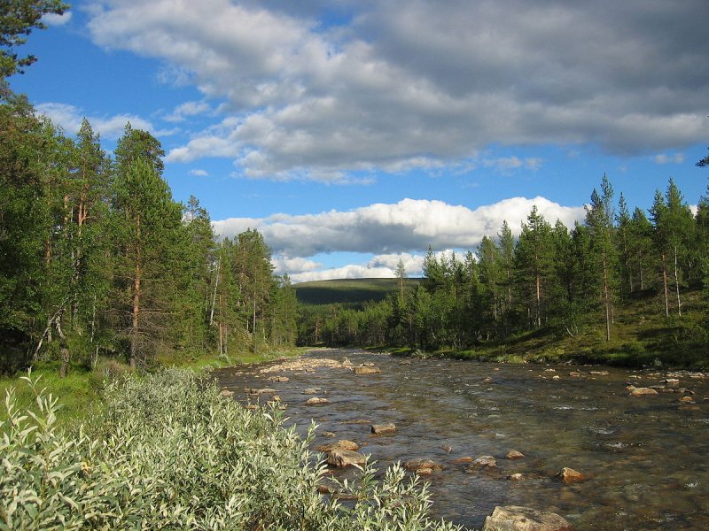 Река Акким Мурманская