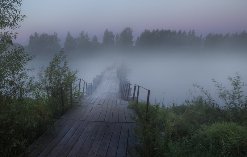 Мост в тумане