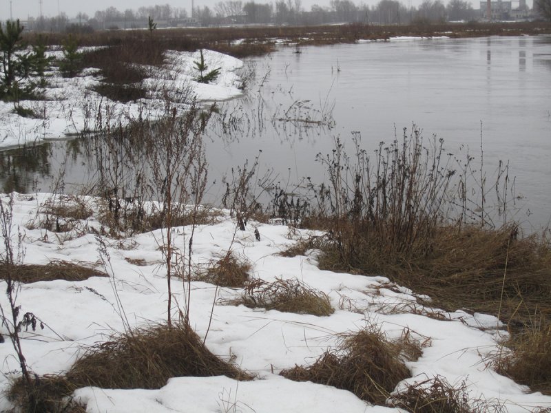 Пресные воды Сокольского района