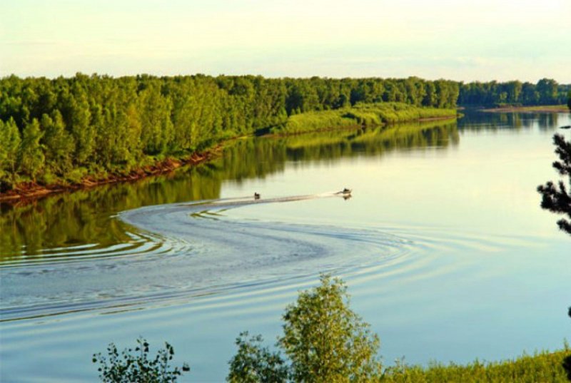 Река Чумыш Костенково