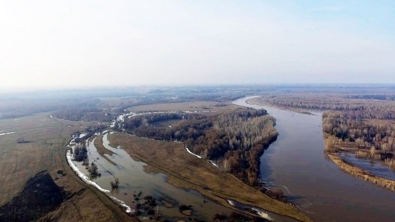 Чумыш река Алтайский
