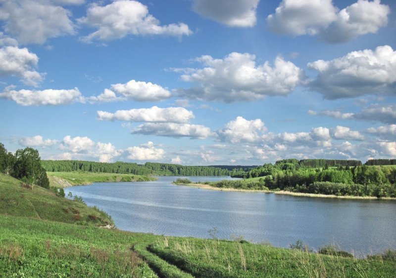 Река Чумыш Алтайский край