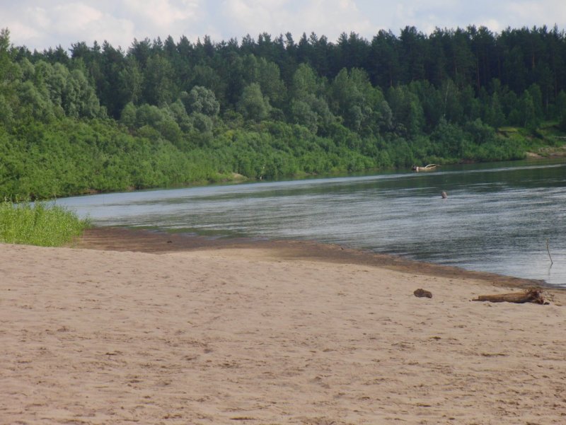 Река Чумыш Заринск пляж