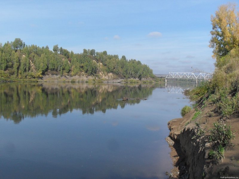 Мост река Песчаная Алтайский край