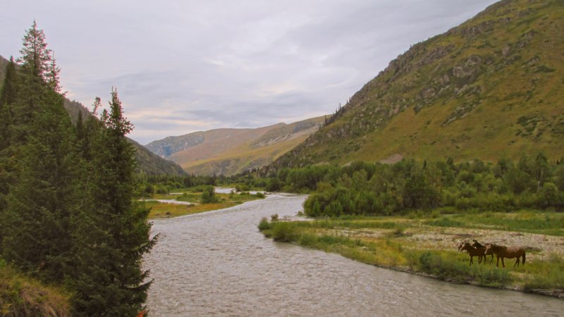 Река Бухтарма Восточный Казахстан