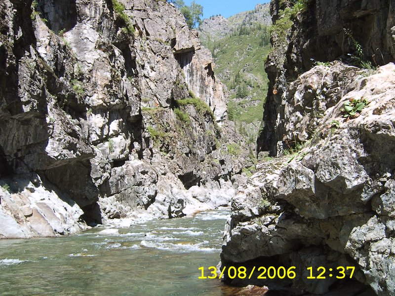 Река Тургусун золотой