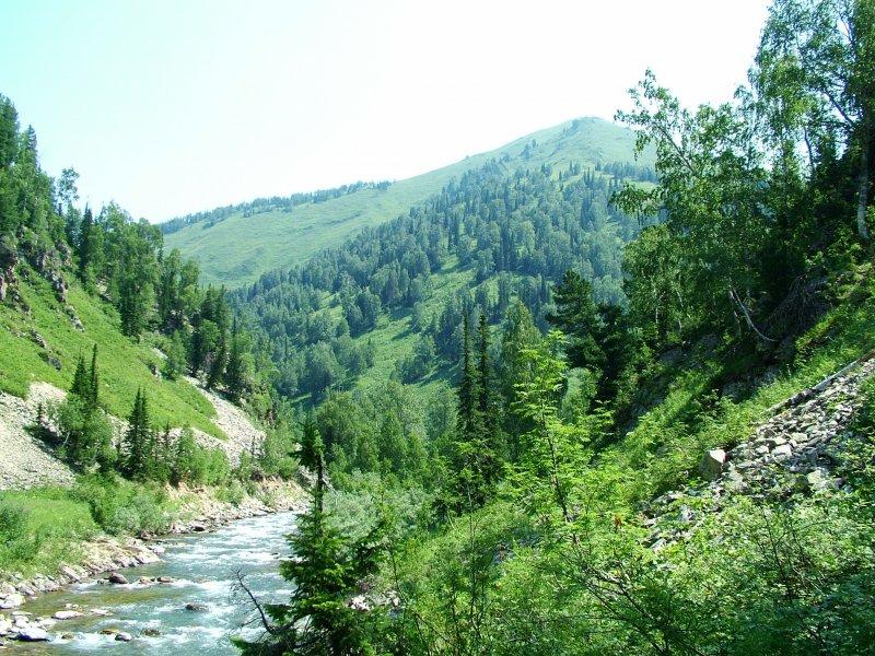 Река порожистая Приморский край