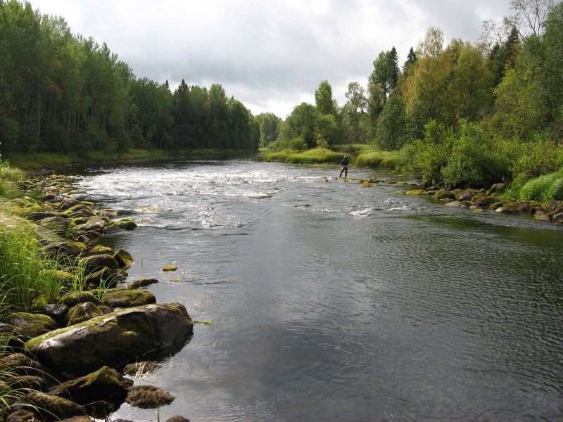 Река Вика Калининградская область