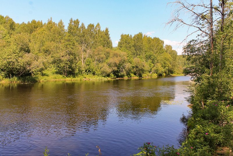 Река черная Севастополь