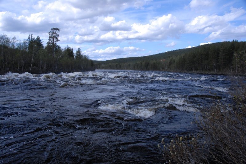 Какое течение у реки кола Мурманской области быстрое или медленное