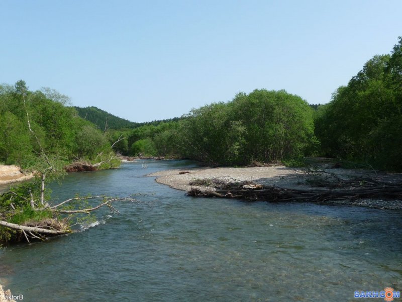 Река Ясенка Сахалин
