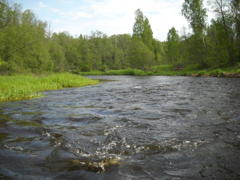 В Тверской области река Поведь