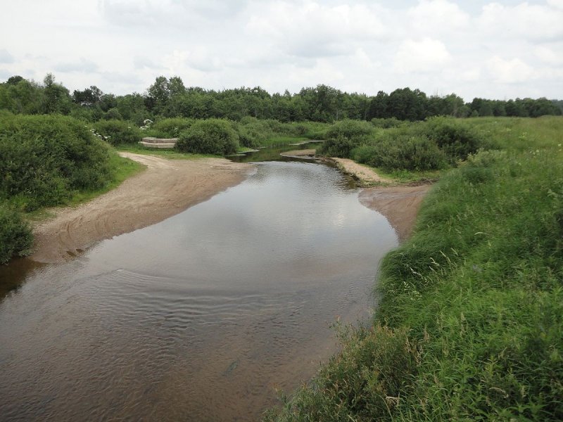Река бойня в Ржевском районе