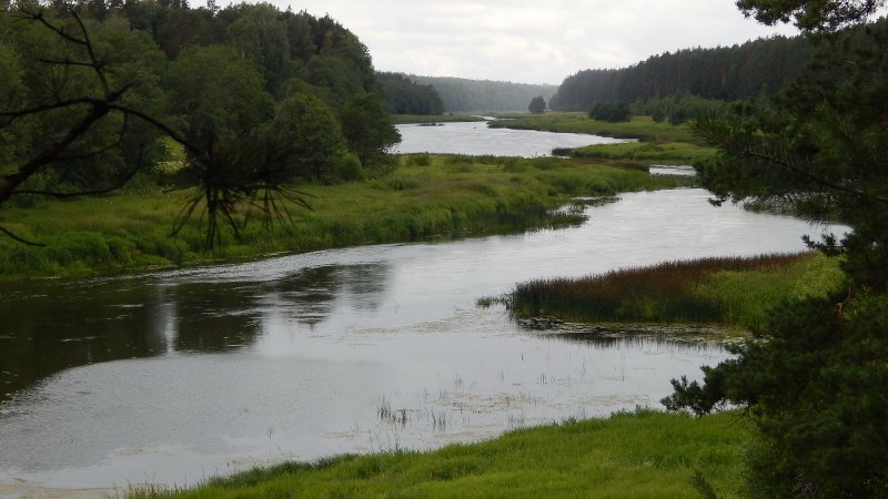 Река Тверца Волга приток