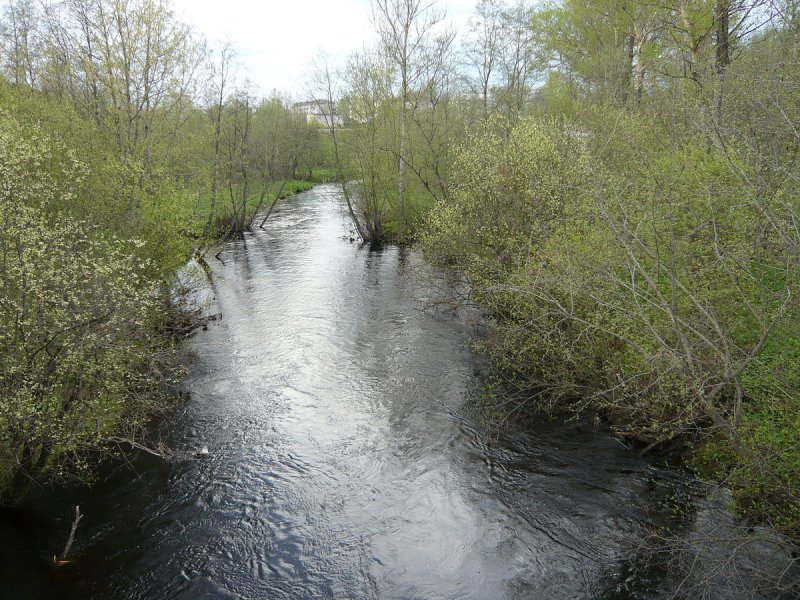 Осуга река в Тверской области